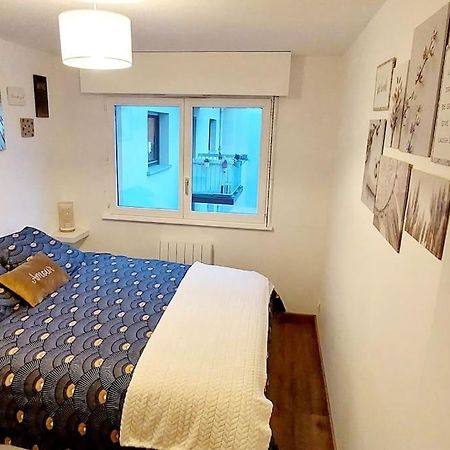 Appartement Cosy ستراسبورغ المظهر الخارجي الصورة
