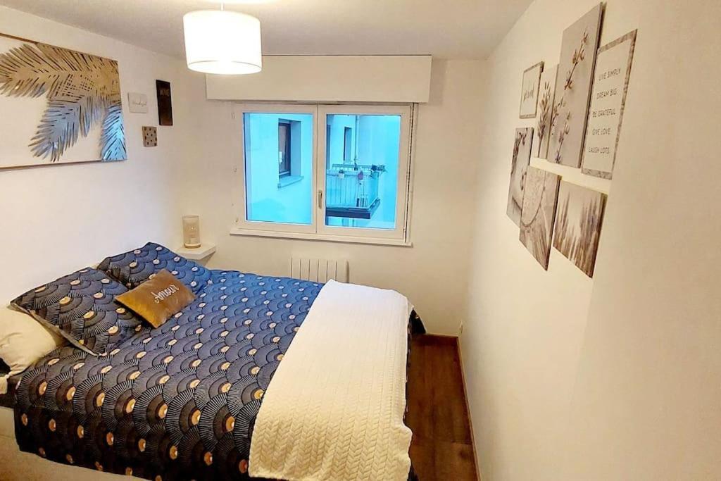 Appartement Cosy ستراسبورغ المظهر الخارجي الصورة